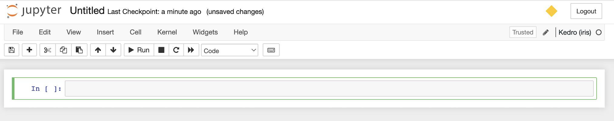Your new Jupyter notebook with Kedro (iris) kernel